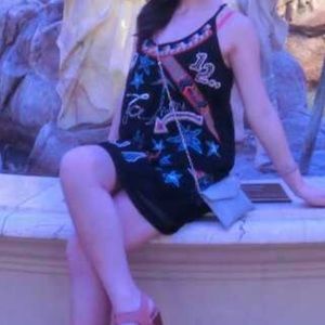 Zara Embroidery Dress